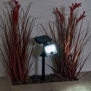Forum Lighting Bradley Solar Floodlight with Spike & Remote Control - Black - ZN-42057